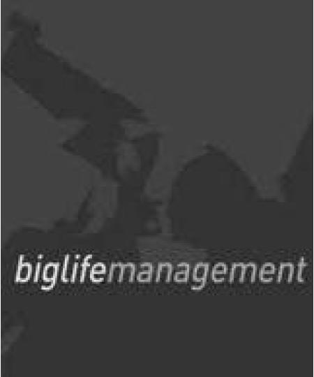 Big Life Management