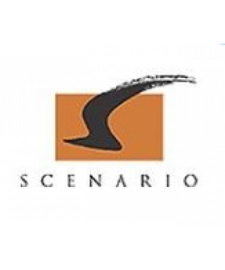 Scenario Co Ltd