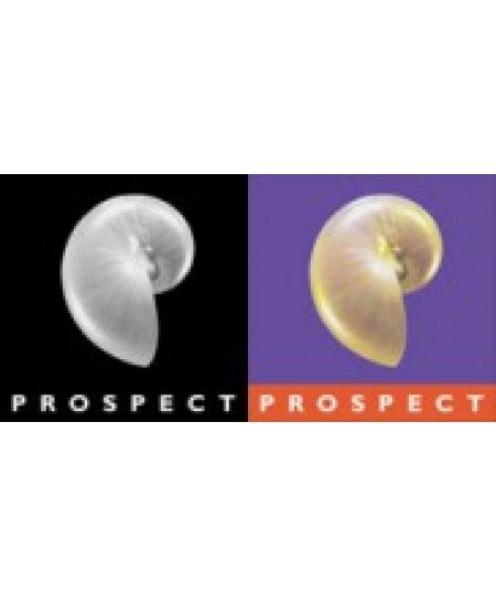 Prospect Pictures