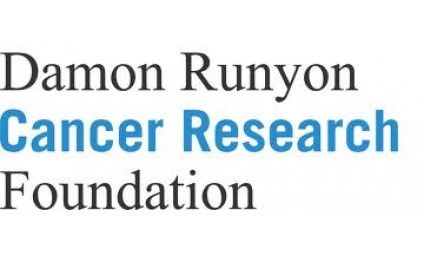 Damon Runyon Walter Winchell Foundation