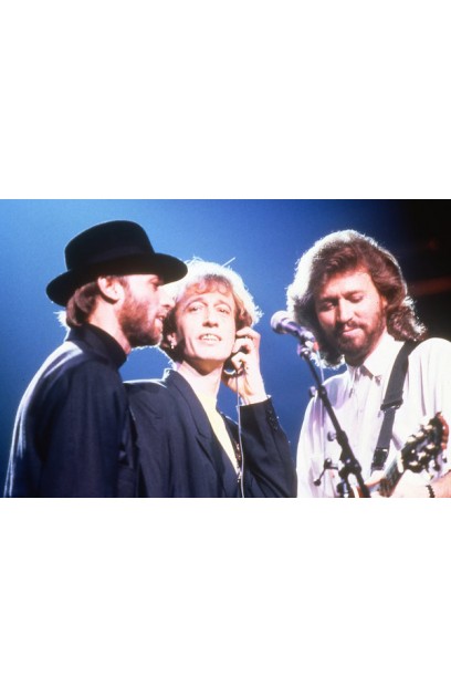 Bee Gees Musical