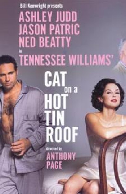 Cat on a Hot Tin Roof