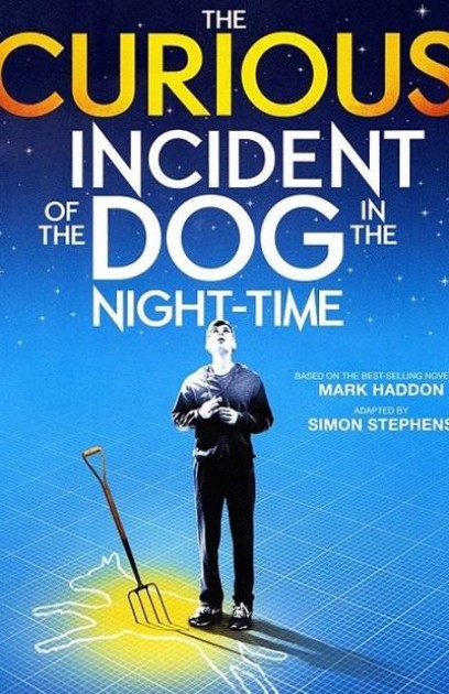 The Curious Incident of the Dog in the Night-Time