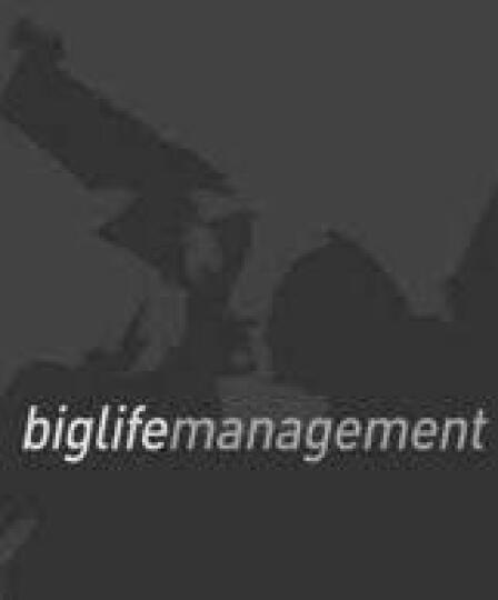Big Life Management