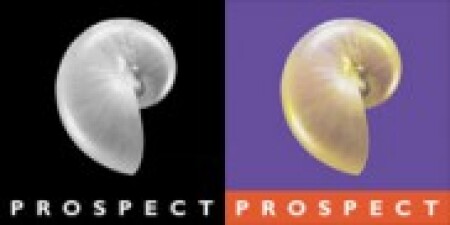 Prospect Pictures