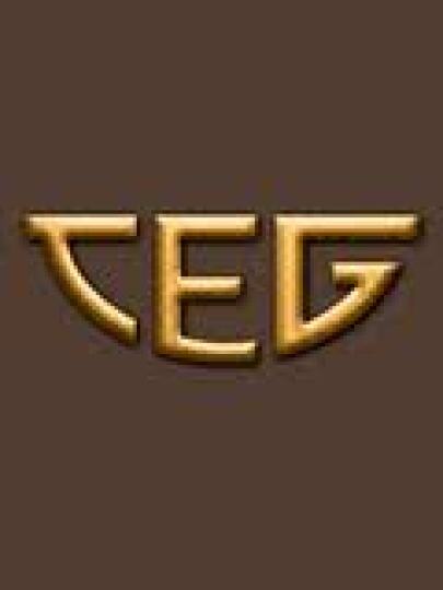Tiwary Entertainment Group Ltd