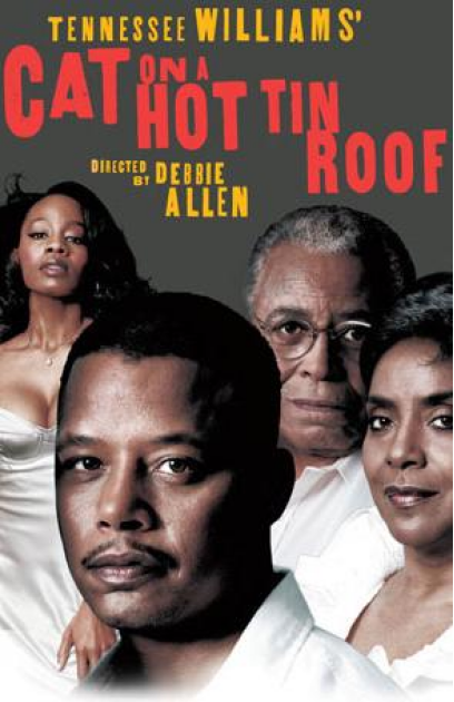 Cat on a Hot Tin Roof
