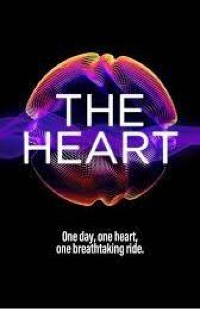 The Heart